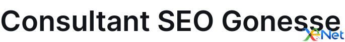 Consultant SEO Gonesse
